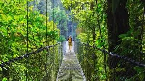 Costa Rica Keeps Its Lead as Top Eco-Tourism Destination