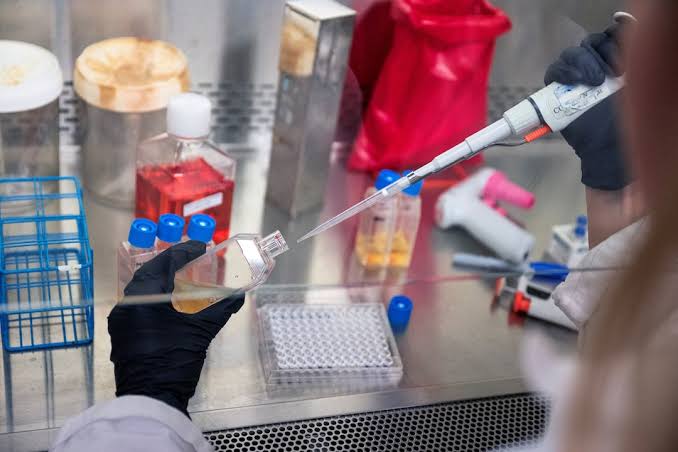 National Institutes of Health and FDA Launch $28 Billion Universal mRNA Cancer Vaccine and Targeted Immunotherapy Manufacturing Initiative